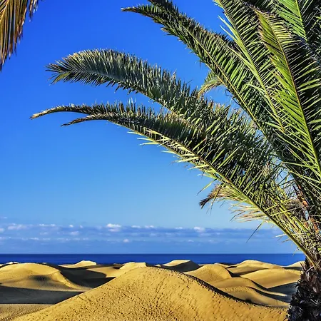 In Palmas Near Canteras Hébergement de vacances *